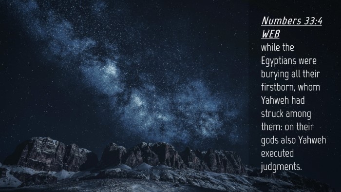 Picture 04 - Numbers 33:4 WEB Desktop Wallpaper - while the Egyptians were burying all their - Desktop Bible Verse Wallpaper