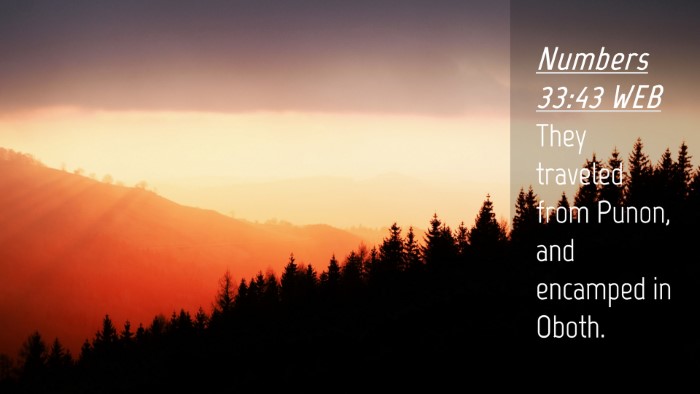 Picture 04 - Numbers 33:43 WEB Desktop Wallpaper - They traveled from Punon, and encamped in - Desktop Bible Verse Wallpaper