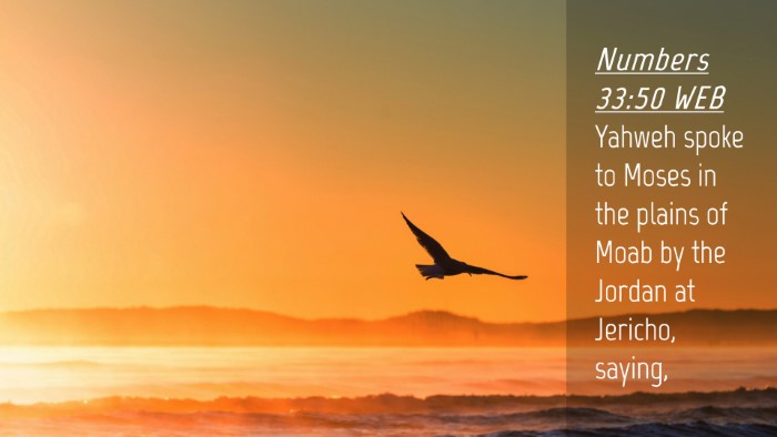 Picture 04 - Numbers 33:50 WEB Desktop Wallpaper - Yahweh spoke to Moses in the plains of Moab by - Desktop Bible Verse Wallpaper