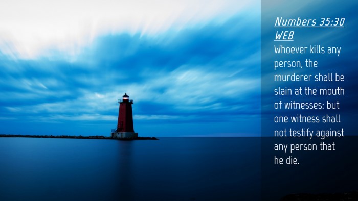 Picture 04 - Numbers 35:30 WEB Desktop Wallpaper - Whoever kills any person, the murderer shall be - Desktop Bible Verse Wallpaper