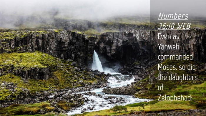 Picture 04 - Numbers 36:10 WEB Desktop Wallpaper - Even as Yahweh commanded Moses, so did the - Desktop Bible Verse Wallpaper