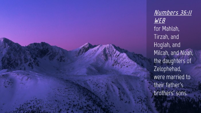 Picture 04 - Numbers 36:11 WEB Desktop Wallpaper - for Mahlah, Tirzah, and Hoglah, and Milcah, and - Desktop Bible Verse Wallpaper