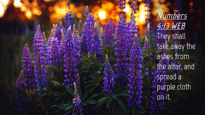 Picture 04 - Numbers 4:13 WEB Desktop Wallpaper - They shall take away the ashes from the altar, - Desktop Bible Verse Wallpaper
