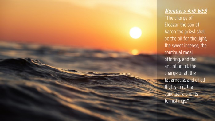 Picture 04 - Numbers 4:16 WEB Desktop Wallpaper - 