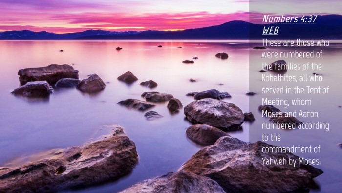 Picture 04 - Numbers 4:37 WEB Desktop Wallpaper - These are those who were numbered of the families - Desktop Bible Verse Wallpaper