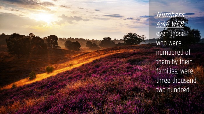 Picture 04 - Numbers 4:44 WEB Desktop Wallpaper - even those who were numbered of them by their - Desktop Bible Verse Wallpaper