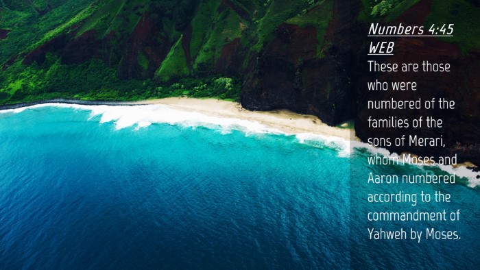 Picture 04 - Numbers 4:45 WEB Desktop Wallpaper - These are those who were numbered of the families - Desktop Bible Verse Wallpaper