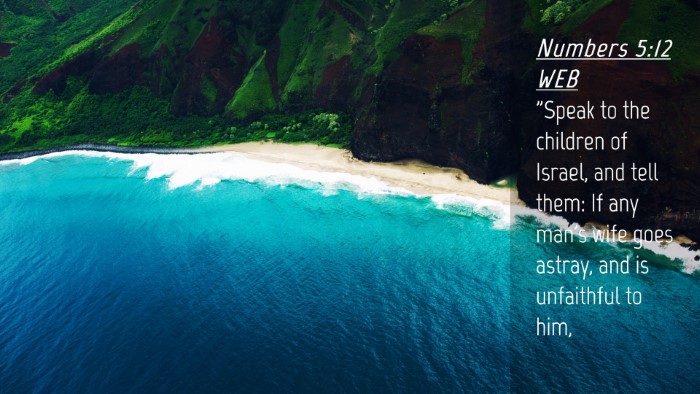 Picture 04 - Numbers 5:12 WEB Desktop Wallpaper - 
