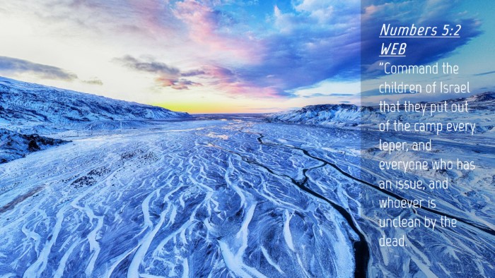 Picture 04 - Numbers 5:2 WEB Desktop Wallpaper - 