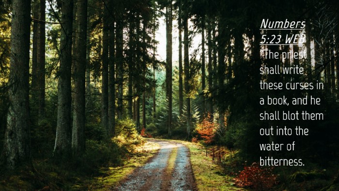 Picture 04 - Numbers 5:23 WEB Desktop Wallpaper - 