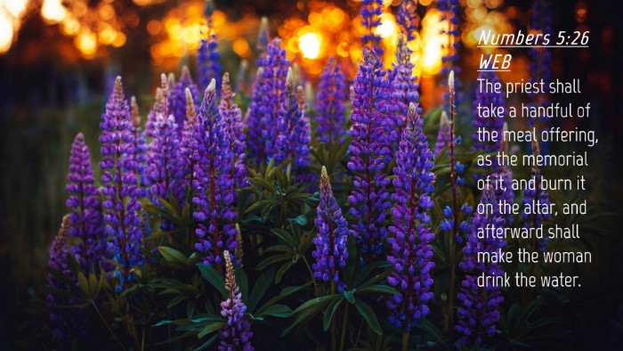 Picture 04 - Numbers 5:26 WEB Desktop Wallpaper - The priest shall take a handful of the meal - Desktop Bible Verse Wallpaper