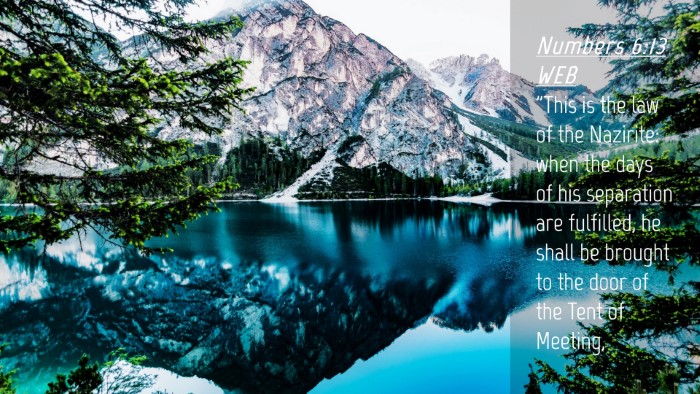 Picture 04 - Numbers 6:13 WEB Desktop Wallpaper - 