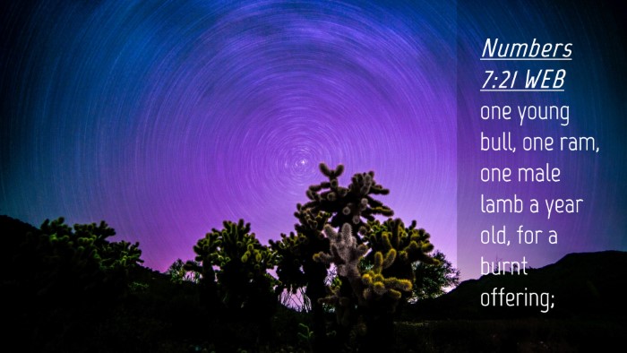 Picture 04 - Numbers 7:21 WEB Desktop Wallpaper - one young bull, one ram, one male lamb a year - Desktop Bible Verse Wallpaper