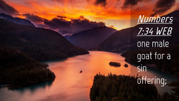 Picture 04 - Numbers 7:34 WEB Desktop Wallpaper - one male goat for a sin - Desktop Bible Verse Wallpaper