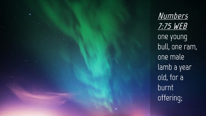Picture 04 - Numbers 7:75 WEB Desktop Wallpaper - one young bull, one ram, one male lamb a year - Desktop Bible Verse Wallpaper