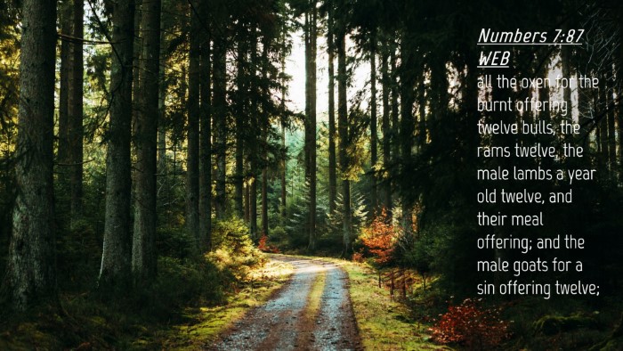 Picture 04 - Numbers 7:87 WEB Desktop Wallpaper - all the oxen for the burnt offering twelve bulls, - Desktop Bible Verse Wallpaper