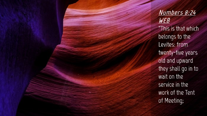 Picture 04 - Numbers 8:24 WEB Desktop Wallpaper - 