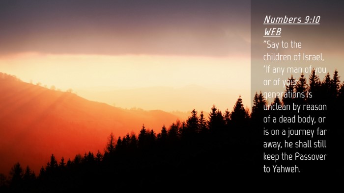 Picture 04 - Numbers 9:10 WEB Desktop Wallpaper - 