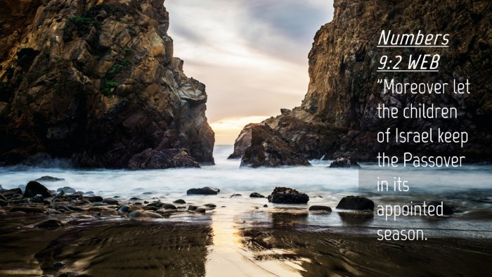 Picture 04 - Numbers 9:2 WEB Desktop Wallpaper - 