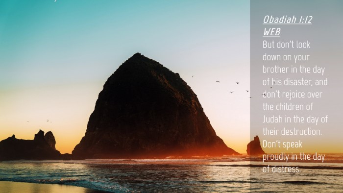 Picture 04 - Obadiah 1:12 WEB Desktop Wallpaper - But don't look down on your brother in the day of - Desktop Bible Verse Wallpaper