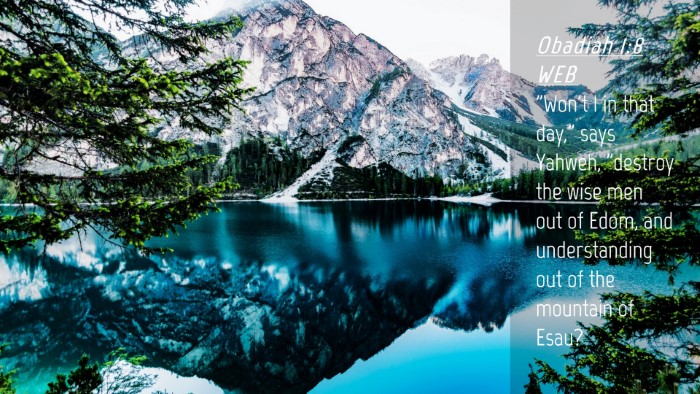 Picture 04 - Obadiah 1:8 WEB Desktop Wallpaper - 