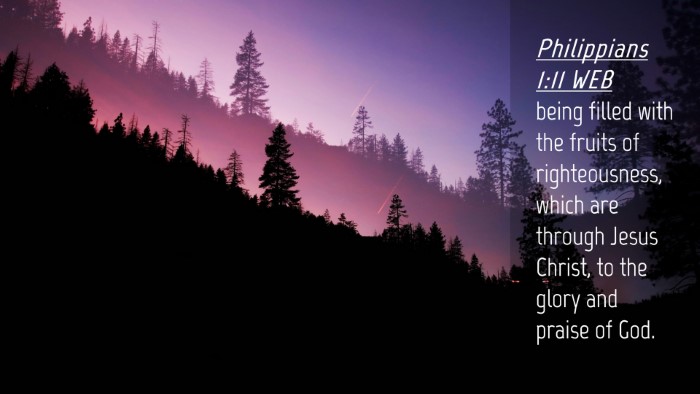 Picture 04 - Philippians 1:11 WEB Desktop Wallpaper - being filled with the fruits of righteousness, - Desktop Bible Verse Wallpaper