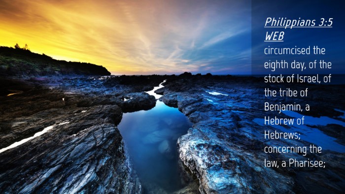 Picture 04 - Philippians 3:5 WEB Desktop Wallpaper - circumcised the eighth day, of the stock of - Desktop Bible Verse Wallpaper