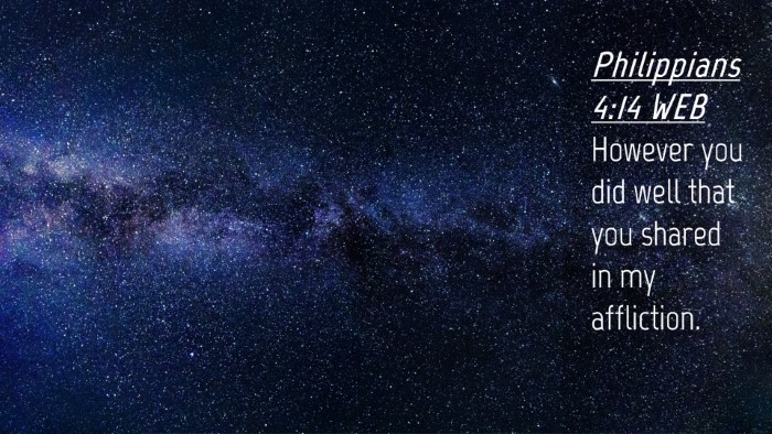 Picture 04 - Philippians 4:14 WEB Desktop Wallpaper - However you did well that you shared in my - Desktop Bible Verse Wallpaper
