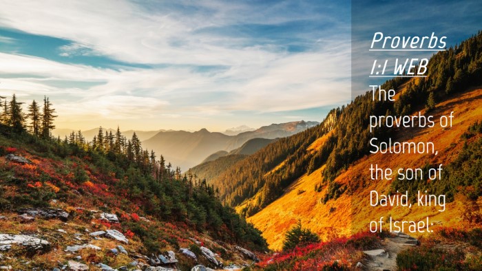 Picture 04 - Proverbs 1:1 WEB Desktop Wallpaper - The proverbs of Solomon, the son of David, king - Desktop Bible Verse Wallpaper