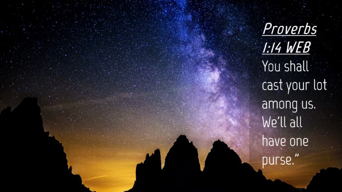 Picture 04 - Proverbs 1:14 WEB Desktop Wallpaper - You shall cast your lot among us. We'll all have - Desktop Bible Verse Wallpaper