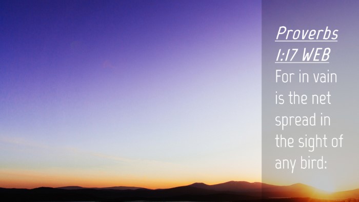 Picture 04 - Proverbs 1:17 WEB Desktop Wallpaper - For in vain is the net spread in the sight of any - Desktop Bible Verse Wallpaper