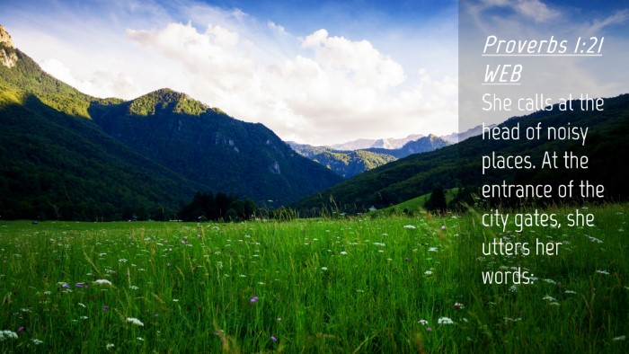 Picture 04 - Proverbs 1:21 WEB Desktop Wallpaper - She calls at the head of noisy places. At the - Desktop Bible Verse Wallpaper