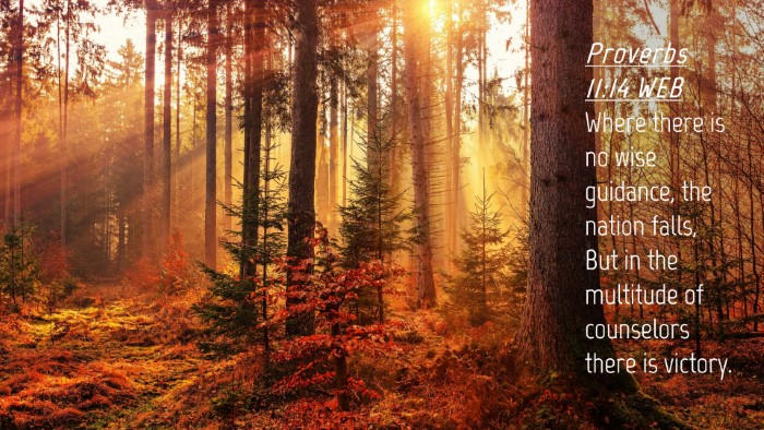 Picture 04 - Proverbs 11:14 WEB Desktop Wallpaper - Where there is no wise guidance, the nation - Desktop Bible Verse Wallpaper