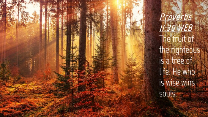 Picture 04 - Proverbs 11:30 WEB Desktop Wallpaper - The fruit of the righteous is a tree of life. He - Desktop Bible Verse Wallpaper
