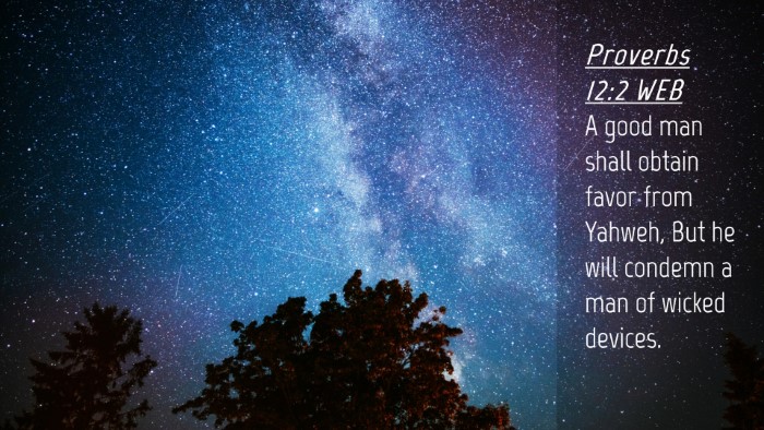 Picture 04 - Proverbs 12:2 WEB Desktop Wallpaper - A good man shall obtain favor from Yahweh, But he - Desktop Bible Verse Wallpaper