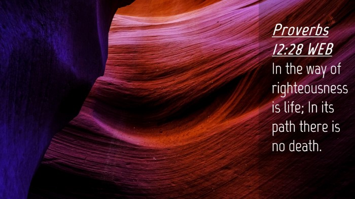 Picture 04 - Proverbs 12:28 WEB Desktop Wallpaper - In the way of righteousness is life; In its path - Desktop Bible Verse Wallpaper