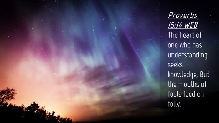 Picture 04 - Proverbs 15:14 WEB Desktop Wallpaper - The heart of one who has understanding seeks - Desktop Bible Verse Wallpaper