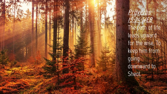 Picture 04 - Proverbs 15:24 WEB Desktop Wallpaper - The path of life leads upward for the wise, To - Desktop Bible Verse Wallpaper