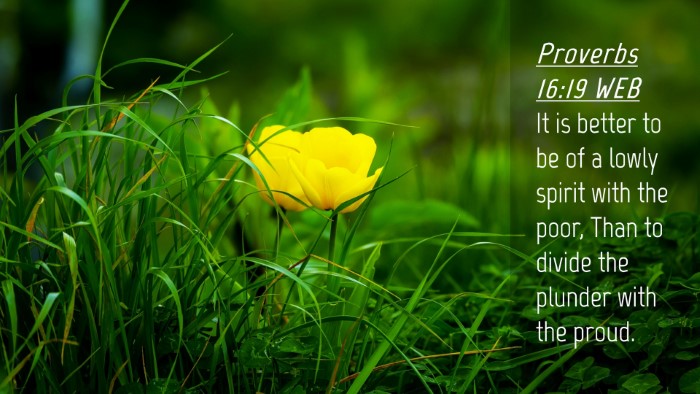 Picture 04 - Proverbs 16:19 WEB Desktop Wallpaper - It is better to be of a lowly spirit with the - Desktop Bible Verse Wallpaper