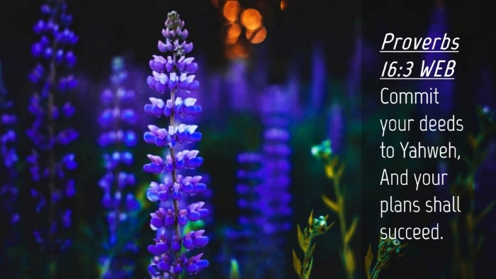 Picture 04 - Proverbs 16:3 WEB Desktop Wallpaper - Commit your deeds to Yahweh, And your plans shall - Desktop Bible Verse Wallpaper