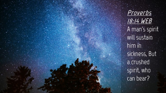 Picture 04 - Proverbs 18:14 WEB Desktop Wallpaper - A man's spirit will sustain him in sickness, But - Desktop Bible Verse Wallpaper