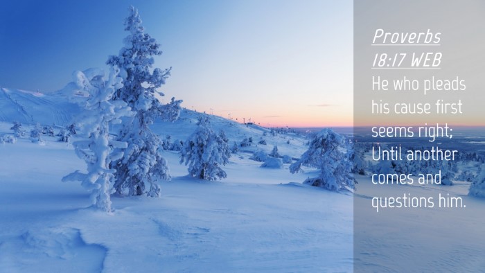Picture 04 - Proverbs 18:17 WEB Desktop Wallpaper - He who pleads his cause first seems right; Until - Desktop Bible Verse Wallpaper