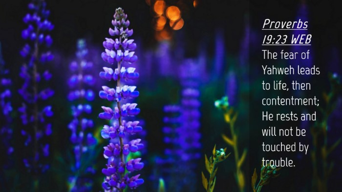 Picture 04 - Proverbs 19:23 WEB Desktop Wallpaper - The fear of Yahweh leads to life, then - Desktop Bible Verse Wallpaper