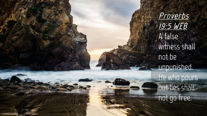 Picture 04 - Proverbs 19:5 WEB Desktop Wallpaper - A false witness shall not be unpunished. He who - Desktop Bible Verse Wallpaper