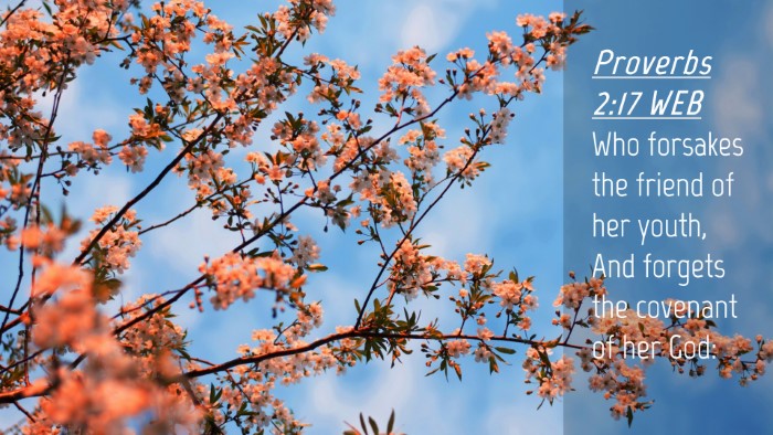 Picture 04 - Proverbs 2:17 WEB Desktop Wallpaper - Who forsakes the friend of her youth, And forgets - Desktop Bible Verse Wallpaper