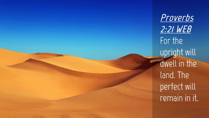 Picture 04 - Proverbs 2:21 WEB Desktop Wallpaper - For the upright will dwell in the land. The - Desktop Bible Verse Wallpaper