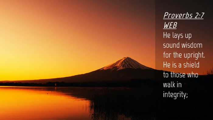 Picture 04 - Proverbs 2:7 WEB Desktop Wallpaper - He lays up sound wisdom for the upright. He is a - Desktop Bible Verse Wallpaper
