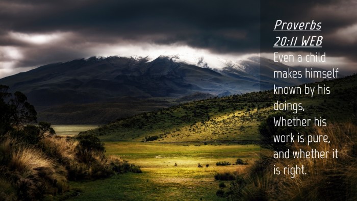 Picture 04 - Proverbs 20:11 WEB Desktop Wallpaper - Even a child makes himself known by his doings, - Desktop Bible Verse Wallpaper