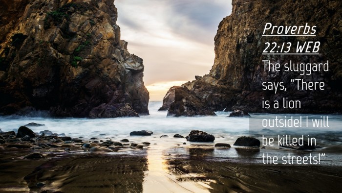 Picture 04 - Proverbs 22:13 WEB Desktop Wallpaper - The sluggard says, 