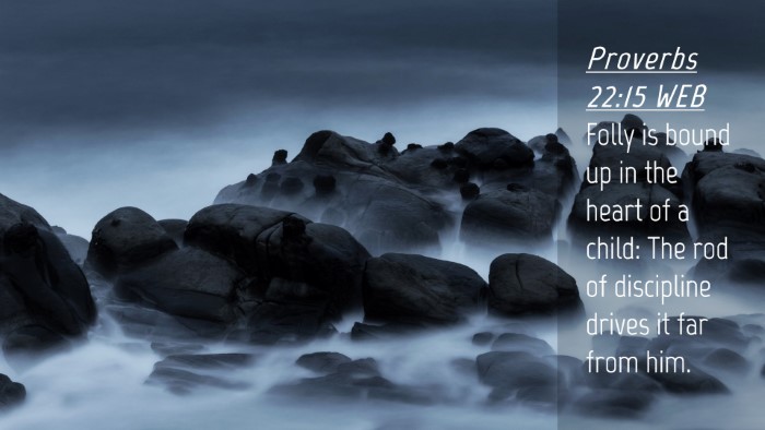 Picture 04 - Proverbs 22:15 WEB Desktop Wallpaper - Folly is bound up in the heart of a child: The - Desktop Bible Verse Wallpaper